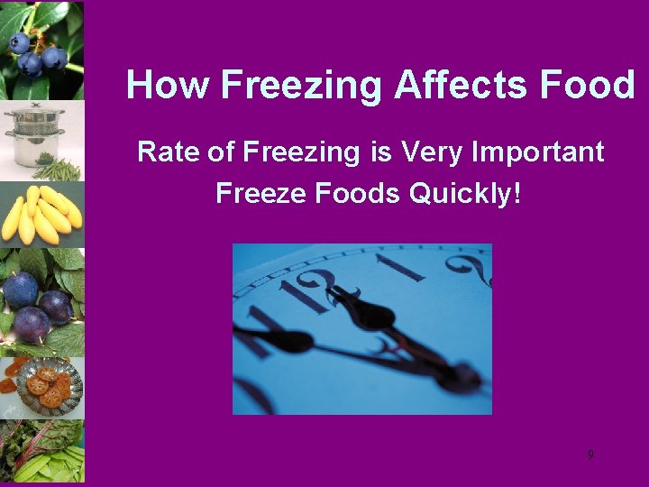 How Freezing Affects Food Rate of Freezing is Very Important Freeze Foods Quickly! 9
