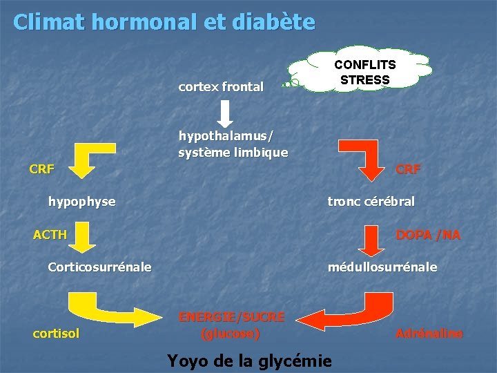 Climat hormonal et diabète CONFLITS STRESS cortex frontal hypothalamus/ système limbique CRF hypophyse tronc