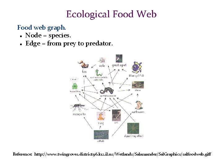 Ecological Food Web Food web graph. Node = species. Edge = from prey to