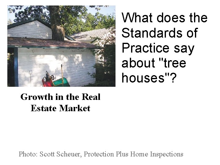 What does the Standards of Practice say about "tree houses"? Growth in the Real