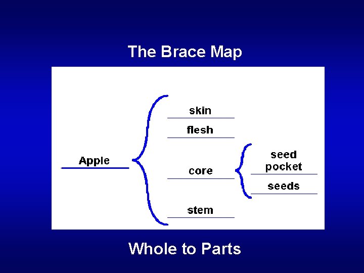 The Brace Map Whole to Parts 