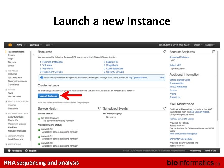 Launch a new Instance RNA sequencing and analysis bioinformatics. ca 