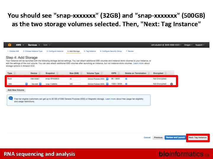 You should see "snap-xxxxxxx" (32 GB) and "snap-xxxxxxx" (500 GB) as the two storage