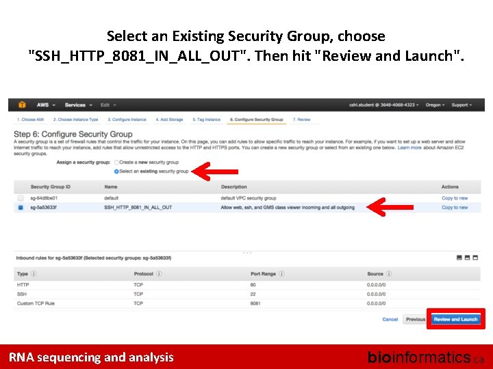 Select an Existing Security Group, choose "SSH_HTTP_8081_IN_ALL_OUT". Then hit "Review and Launch". RNA sequencing