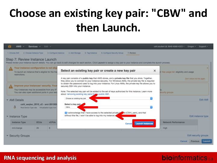 Choose an existing key pair: "CBW" and then Launch. RNA sequencing and analysis bioinformatics.