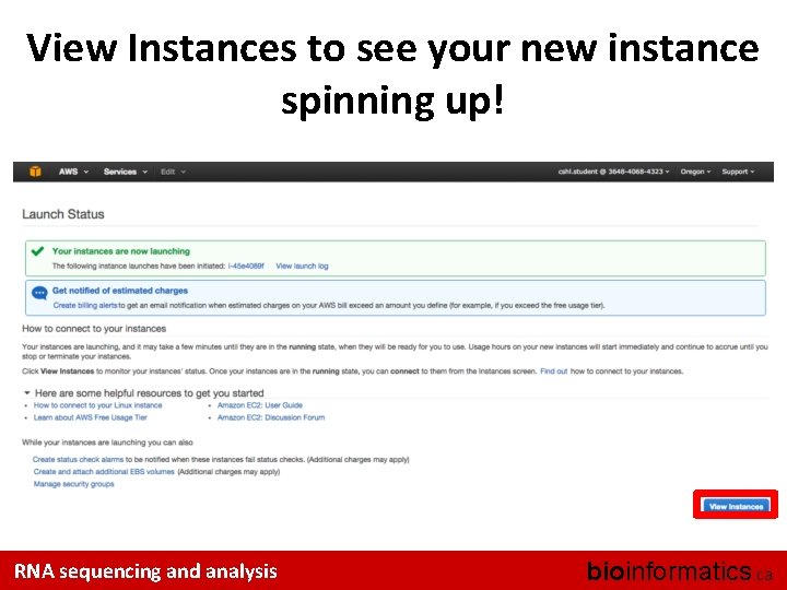 View Instances to see your new instance spinning up! RNA sequencing and analysis bioinformatics.