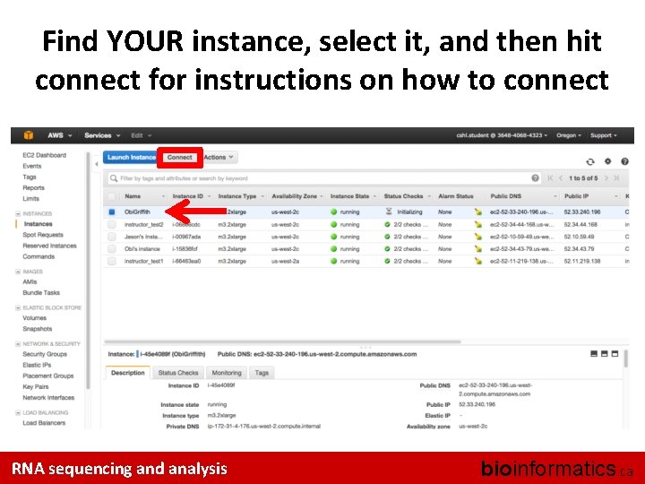 Find YOUR instance, select it, and then hit connect for instructions on how to