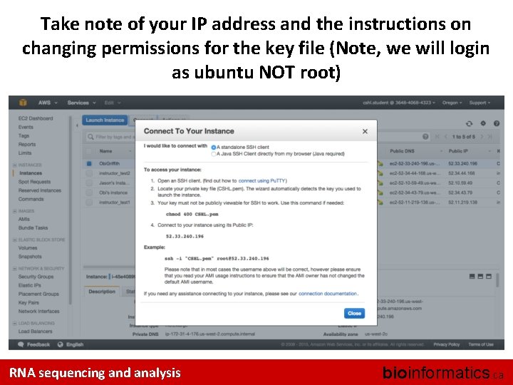 Take note of your IP address and the instructions on changing permissions for the