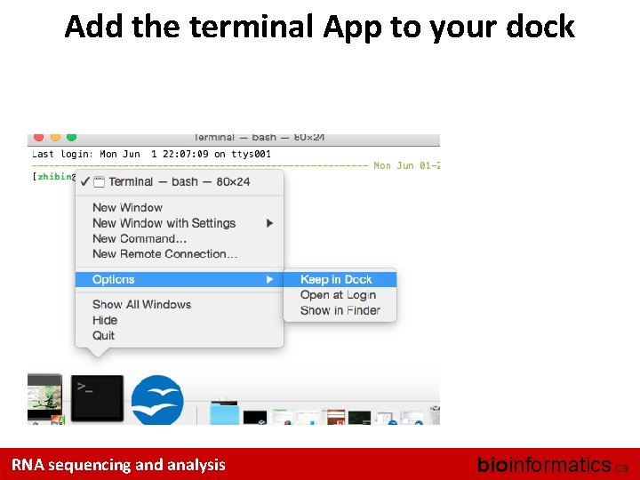 Add the terminal App to your dock RNA sequencing and analysis bioinformatics. ca 