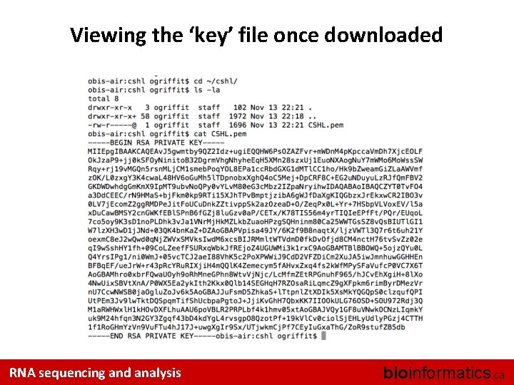 Viewing the ‘key’ file once downloaded RNA sequencing and analysis bioinformatics. ca 