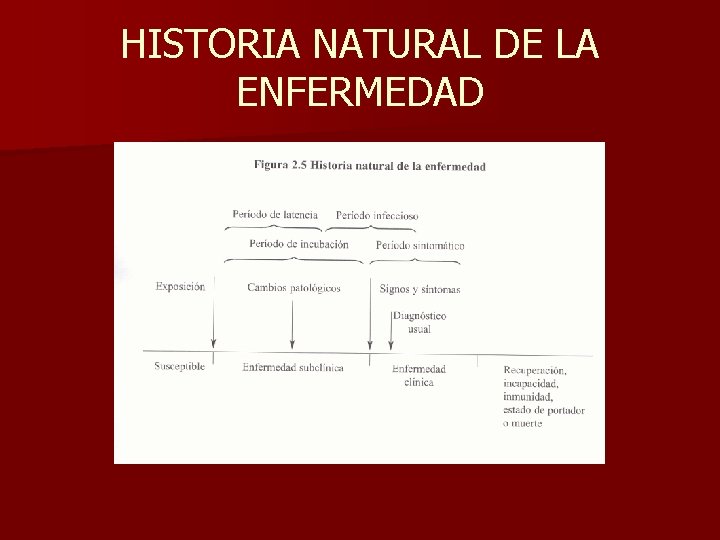 HISTORIA NATURAL DE LA ENFERMEDAD 