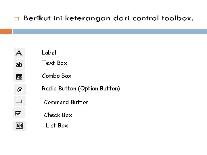 Label Text Box Combo Box Radio Button (Option Button) Command Button Check Box List