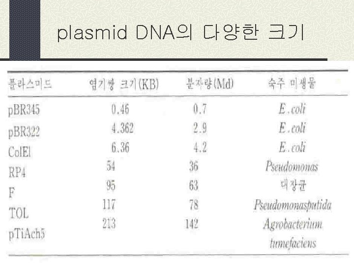 plasmid DNA의 다양한 크기 