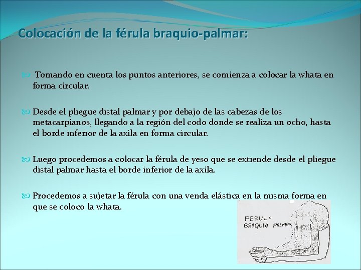 Colocación de la férula braquio-palmar: Tomando en cuenta los puntos anteriores, se comienza a