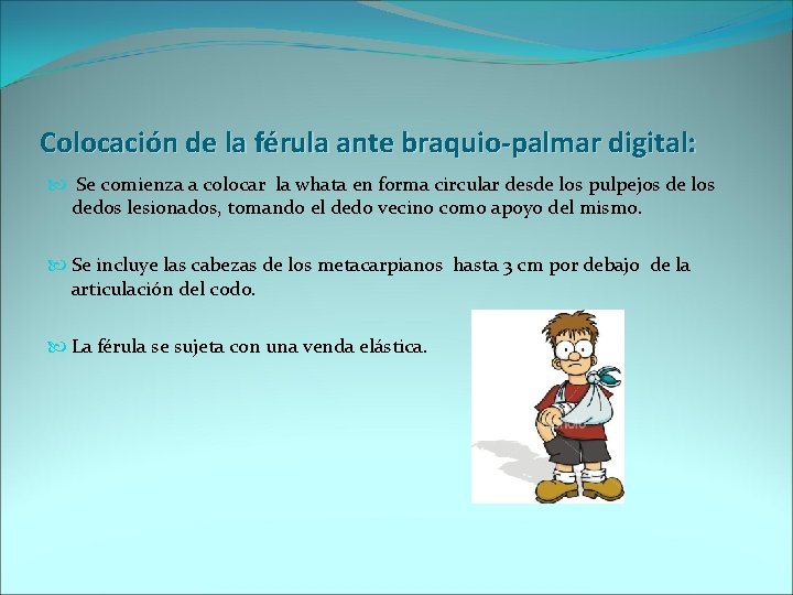 Colocación de la férula ante braquio-palmar digital: Se comienza a colocar la whata en