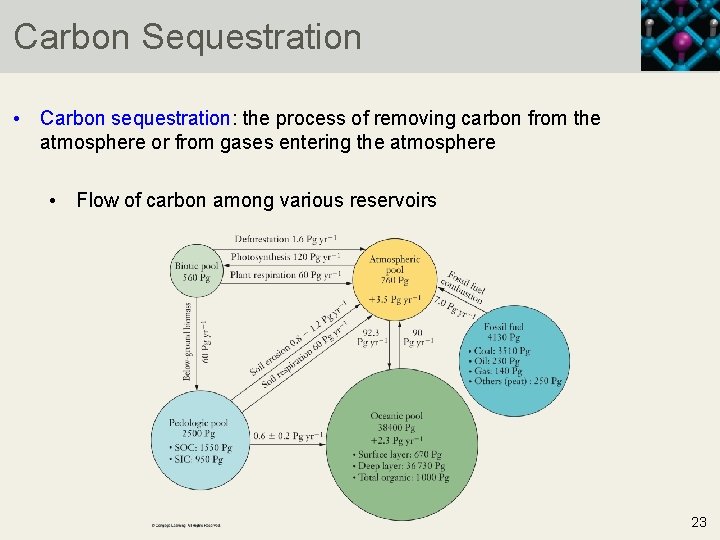 Carbon Sequestration • Carbon sequestration: the process of removing carbon from the atmosphere or