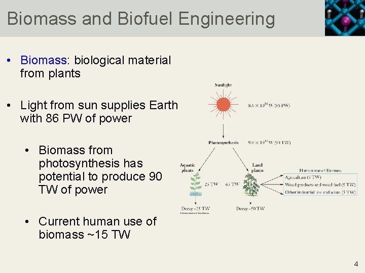 Biomass and Biofuel Engineering • Biomass: biological material from plants • Light from sun
