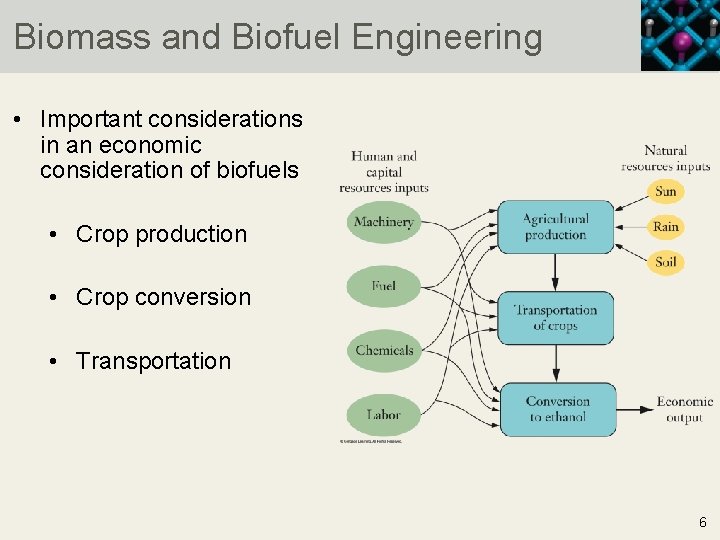 Biomass and Biofuel Engineering • Important considerations in an economic consideration of biofuels •