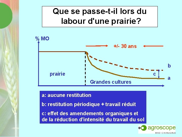Que se passe-t-il lors du labour d'une prairie? % MO +/- 30 ans b