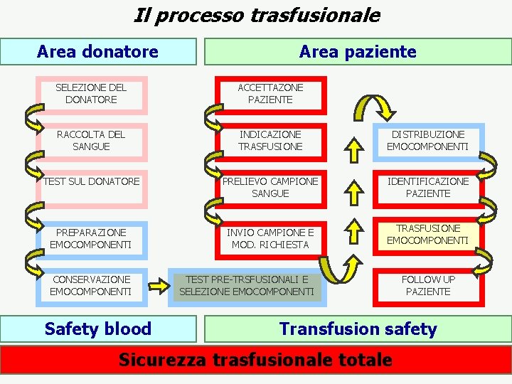 Il processo trasfusionale Area donatore Area paziente SELEZIONE DEL DONATORE ACCETTAZONE PAZIENTE RACCOLTA DEL