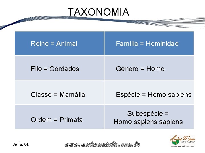 TAXONOMIA Reino = Animal Família = Hominidae Filo = Cordados Gênero = Homo Classe