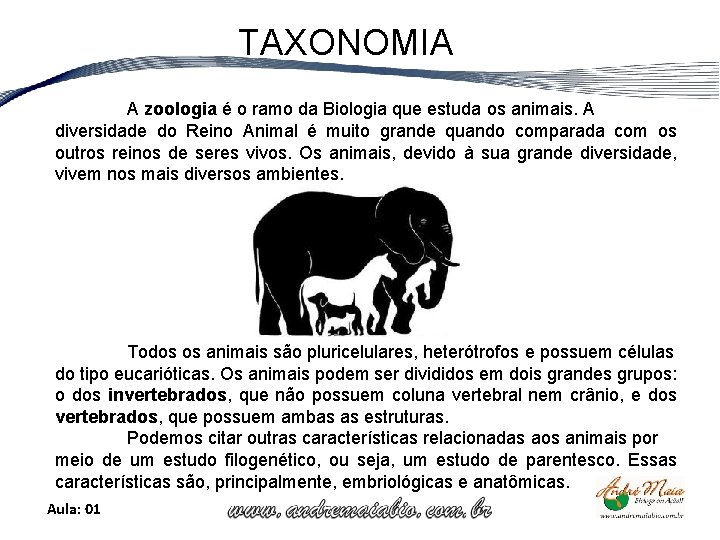 TAXONOMIA A zoologia é o ramo da Biologia que estuda os animais. A diversidade