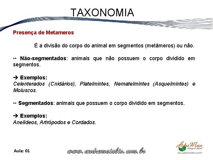 TAXONOMIA Presença de Metameros É a divisão do corpo do animal em segmentos (metâmeros)