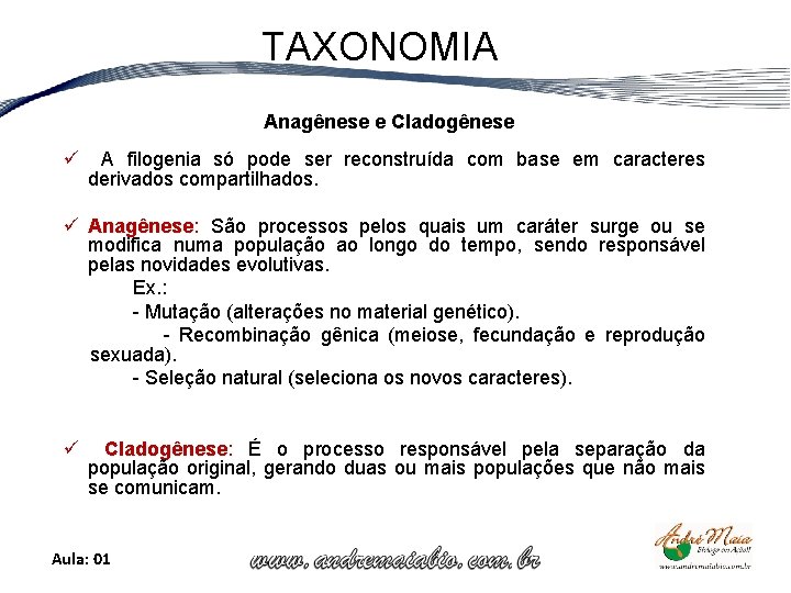 TAXONOMIA Anagênese e Cladogênese ü A filogenia só pode ser reconstruída com base em
