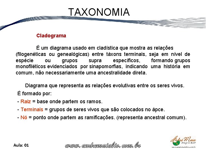 TAXONOMIA Cladograma É um diagrama usado em cladística que mostra as relações (filogenéticas ou