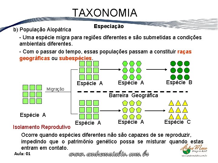 TAXONOMIA Especiação b) População Alopátrica - Uma espécie migra para regiões diferentes e são