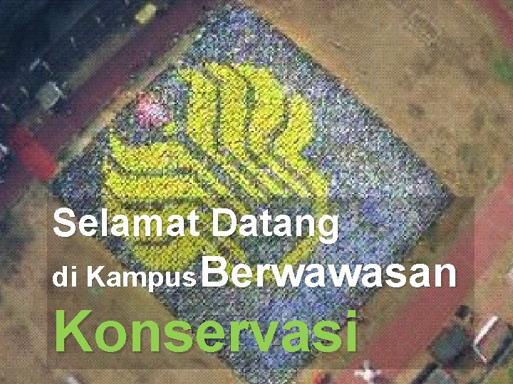 Selamat Datang di Kampus Berwawasan Konservasi 