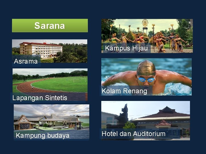 Sarana Kampus Hijau Asrama Lapangan Sintetis Kampung budaya Kolam Renang Hotel dan Auditorium 