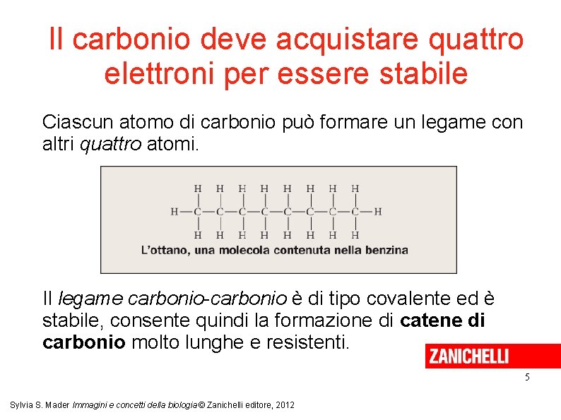 Il carbonio deve acquistare quattro elettroni per essere stabile Ciascun atomo di carbonio può