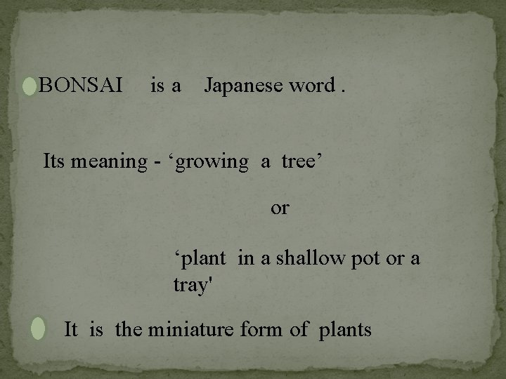 Bonsai BONSAI is a Japanese word Its meaning
