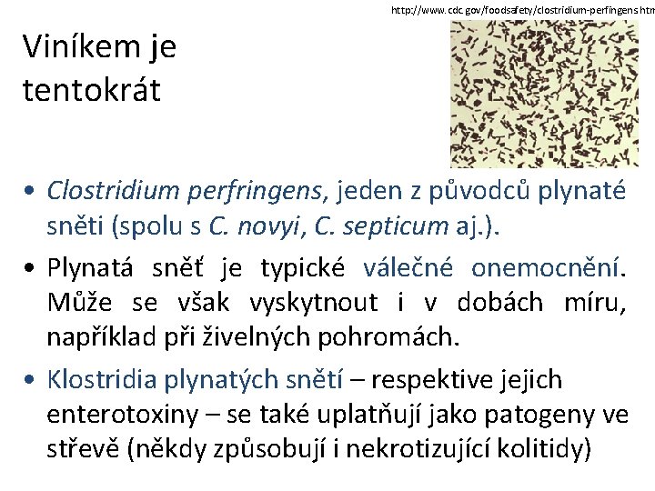 http: //www. cdc. gov/foodsafety/clostridium-perfingens. htm Viníkem je tentokrát • Clostridium perfringens, jeden z původců