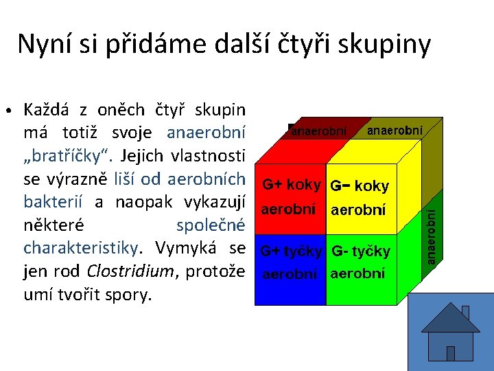 Nyní si přidáme další čtyři skupiny • Každá z oněch čtyř skupin má totiž