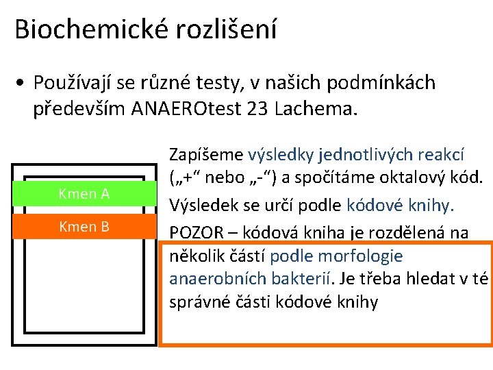 Biochemické rozlišení • Používají se různé testy, v našich podmínkách především ANAEROtest 23 Lachema.