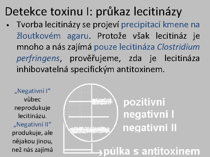 Detekce toxinu I: průkaz lecitinázy • Tvorba lecitinázy se projeví precipitací kmene na žloutkovém