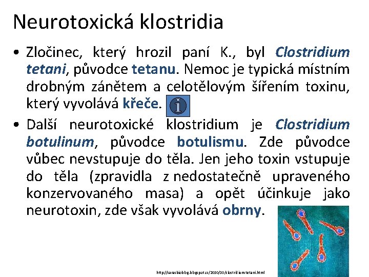 Neurotoxická klostridia • Zločinec, který hrozil paní K. , byl Clostridium tetani, původce tetanu.