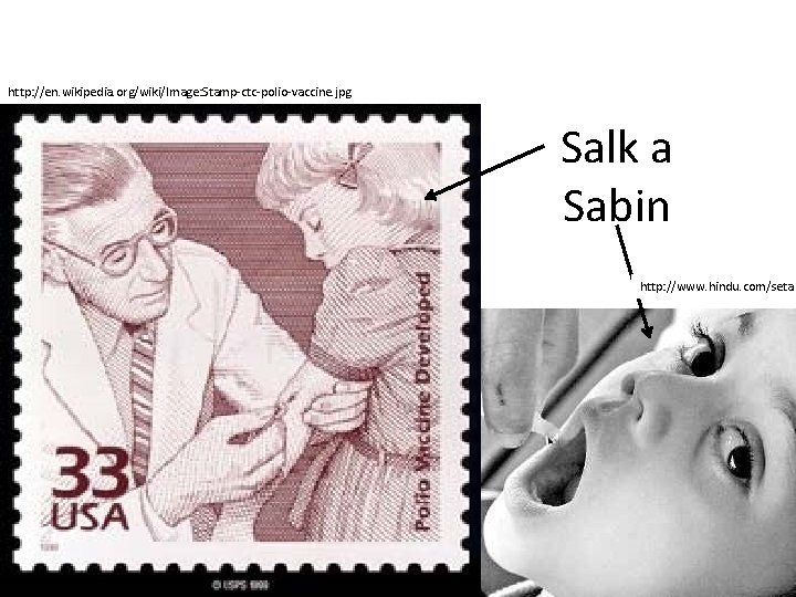 http: //en. wikipedia. org/wiki/Image: Stamp-ctc-polio-vaccine. jpg Salk a Sabin http: //www. hindu. com/seta 