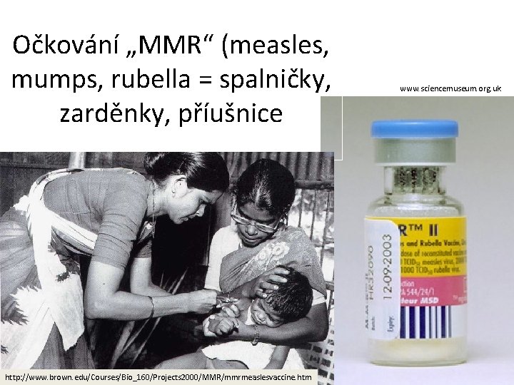 Očkování „MMR“ (measles, mumps, rubella = spalničky, zarděnky, příušnice http: //www. brown. edu/Courses/Bio_160/Projects 2000/MMR/mmrmeaslesvaccine.