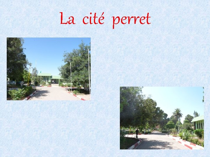 La cité perret 