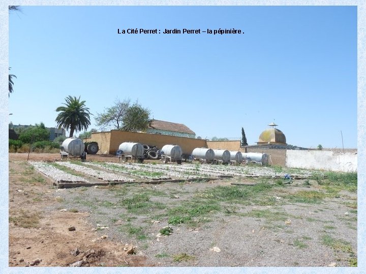 La Cité Perret : Jardin Perret – la pépinière. 