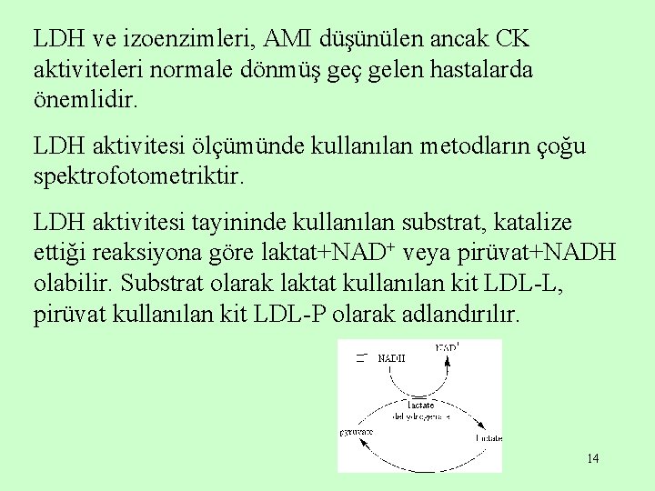 LDH ve izoenzimleri, AMI düşünülen ancak CK aktiviteleri normale dönmüş geç gelen hastalarda önemlidir.