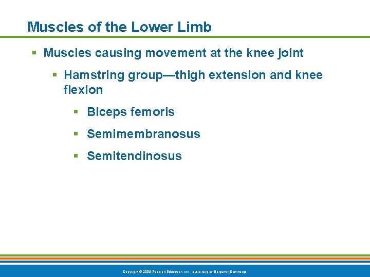 Muscles of the Lower Limb § Muscles causing movement at the knee joint §