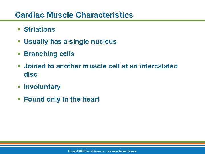 Cardiac Muscle Characteristics § Striations § Usually has a single nucleus § Branching cells