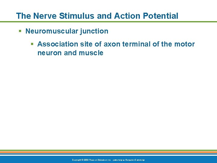 The Nerve Stimulus and Action Potential § Neuromuscular junction § Association site of axon