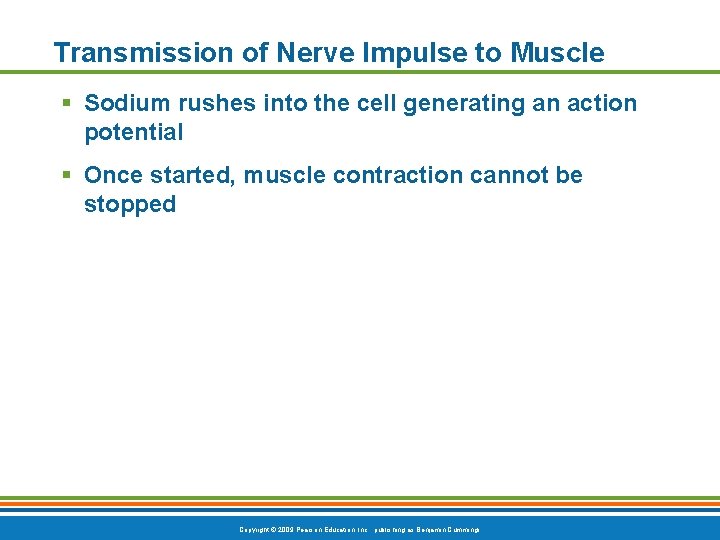 Transmission of Nerve Impulse to Muscle § Sodium rushes into the cell generating an