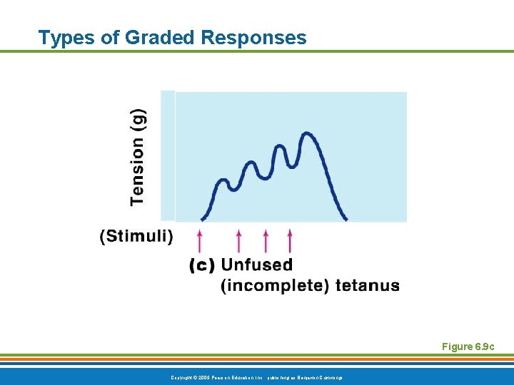 Types of Graded Responses Figure 6. 9 c Copyright © 2009 Pearson Education, Inc.