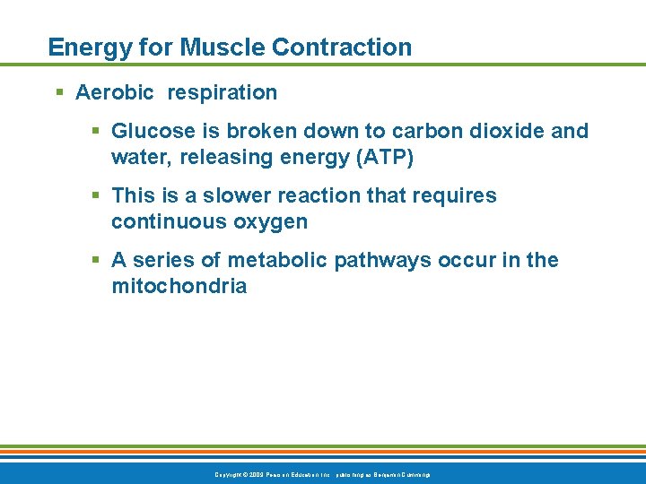 Energy for Muscle Contraction § Aerobic respiration § Glucose is broken down to carbon
